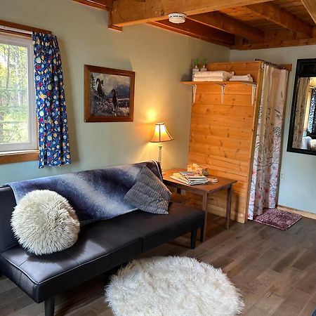 Talkeetna Sweetheart Cabin Villa Luaran gambar